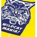Wildcat Mascot on a Stick